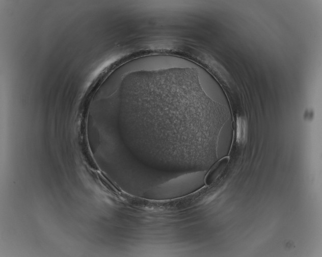 X0000091860723200709261254