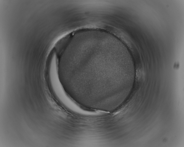 X0000091860724200709261254