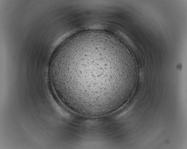 X0000091860725200709261254