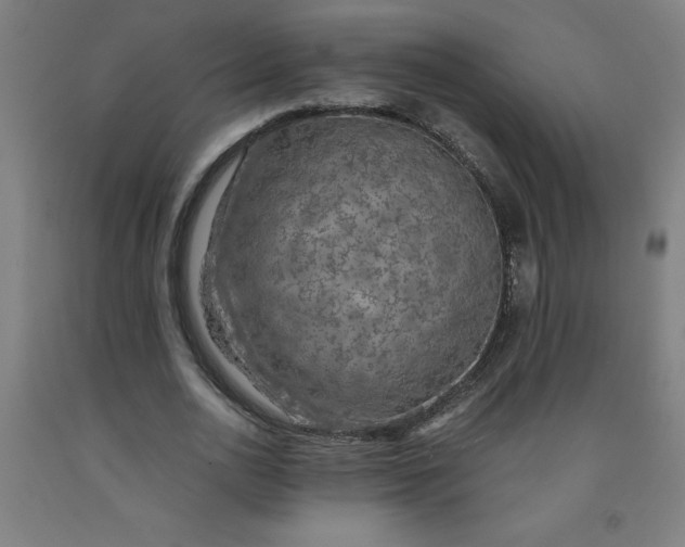 X0000091860726200709261254