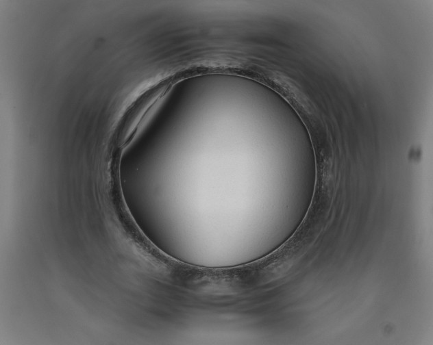 X0000091860727200709261254