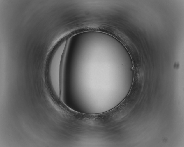 X0000091860728200709261254