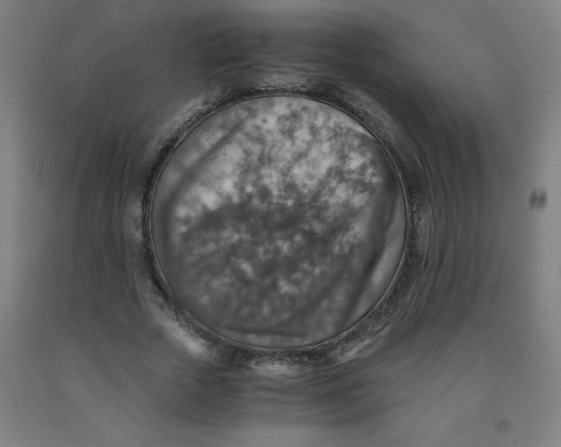 X0000091860729200709261254