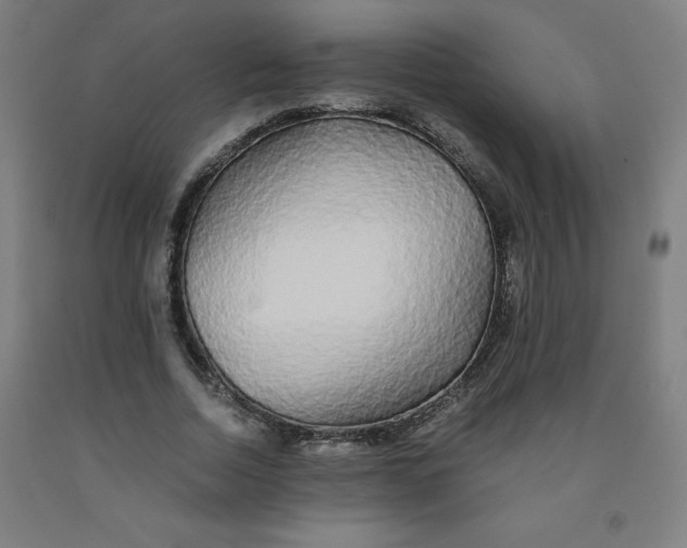 X0000091860730200709261254