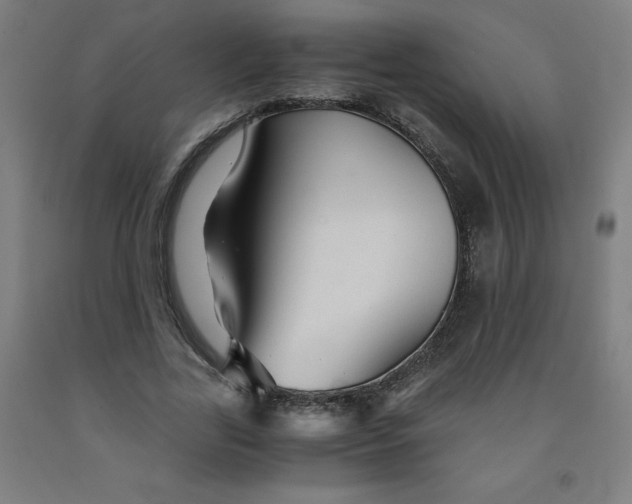 X0000091860731200709261254