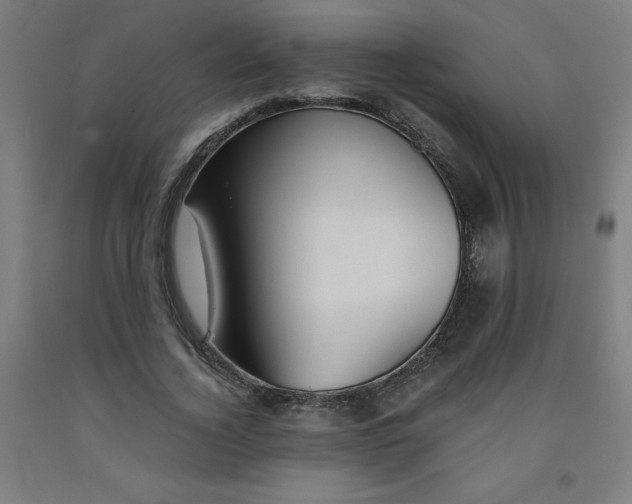 X0000091860732200709261254