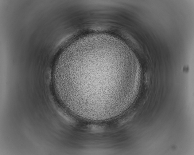 X0000091860733200709261254