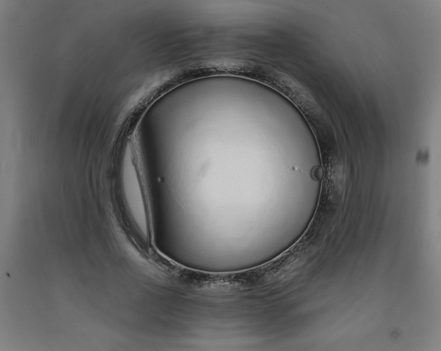 X0000091860734200709261254