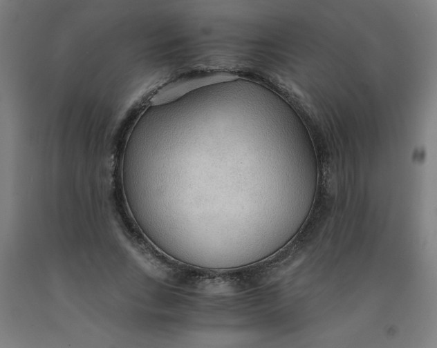 X0000091860735200709261254