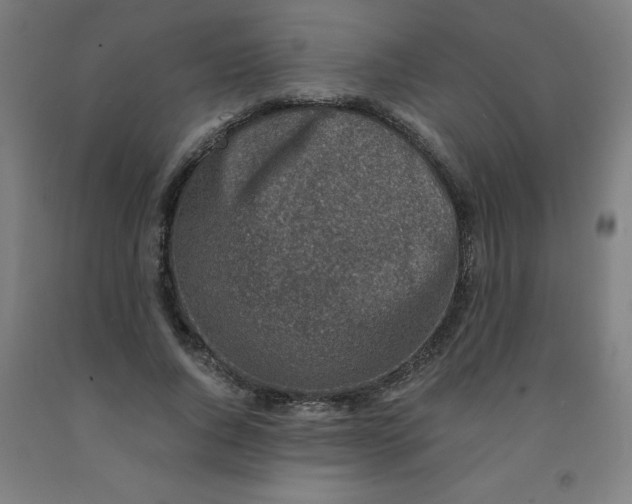 X0000091860736200709261254