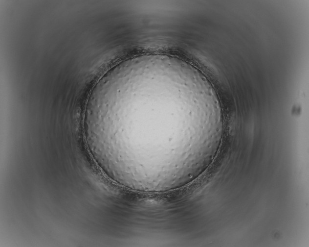 X0000091860737200709261254