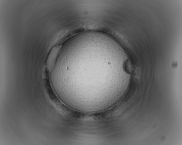 X0000091860738200709261254