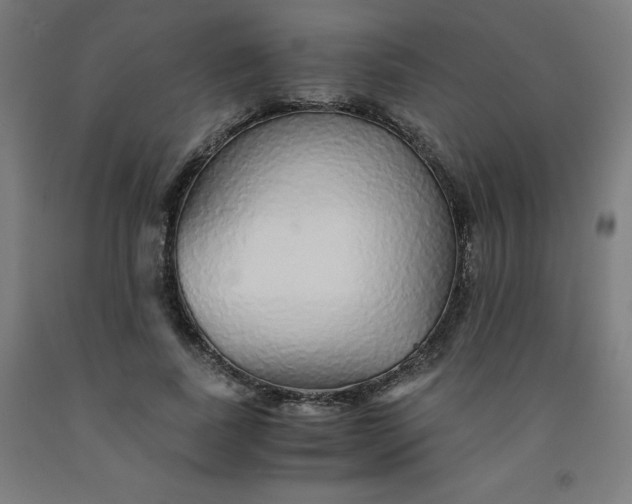 X0000091860739200709261254