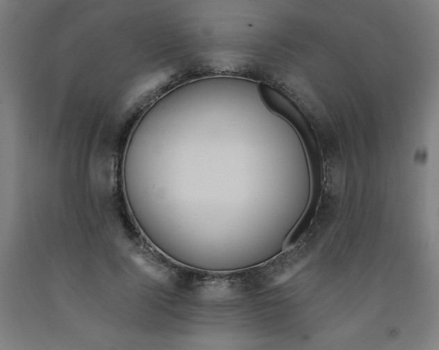 X0000091860740200709261254