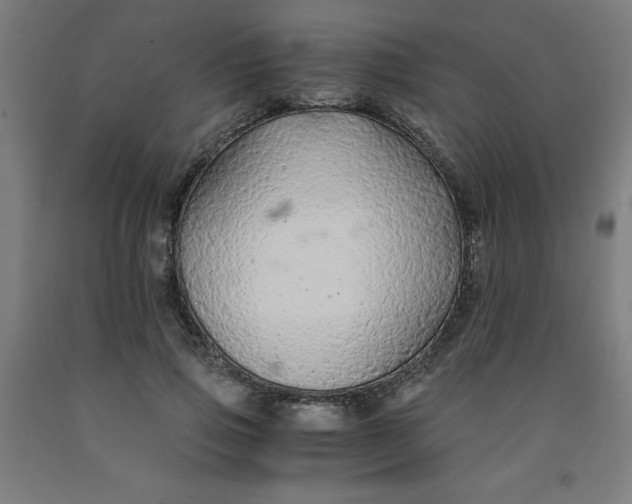 X0000091860741200709261254