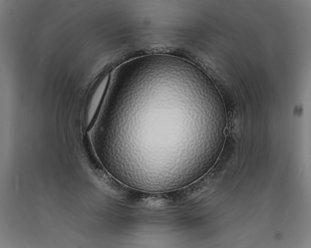 X0000091860742200709261254