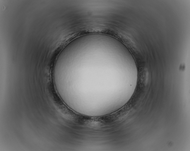 X0000091860743200709261254