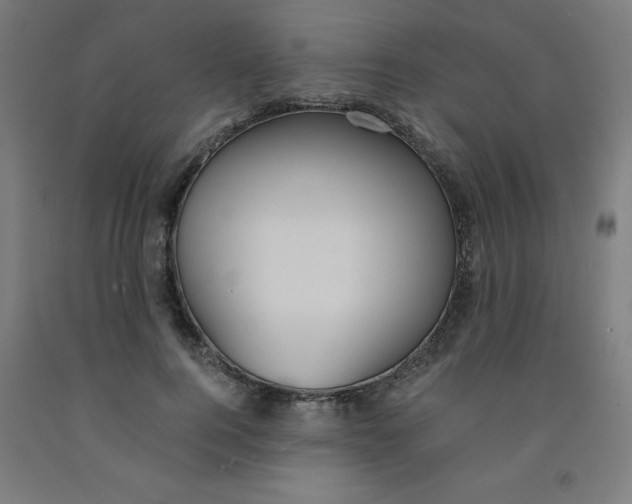 X0000091860744200709261254