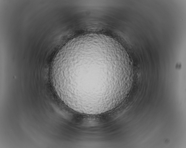 X0000091860745200709261254