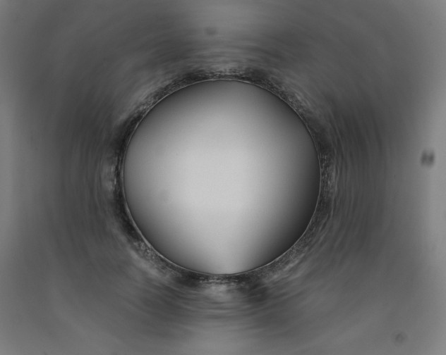 X0000091860746200709261254