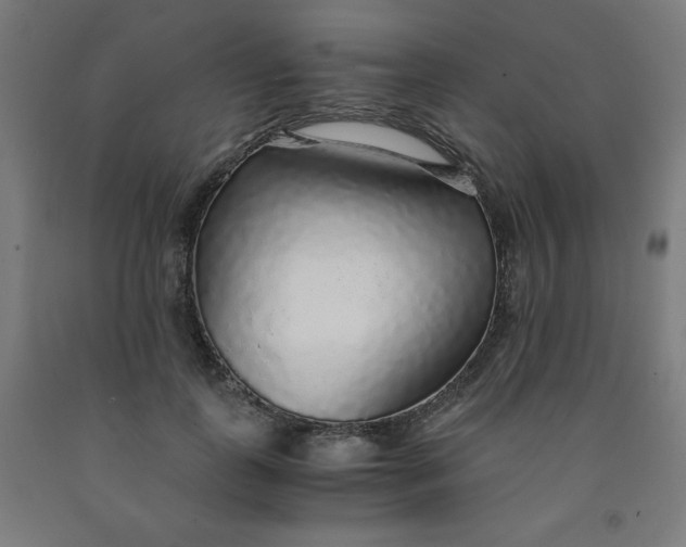 X0000091860747200709261254