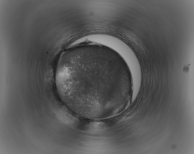 X0000091860748200709261254