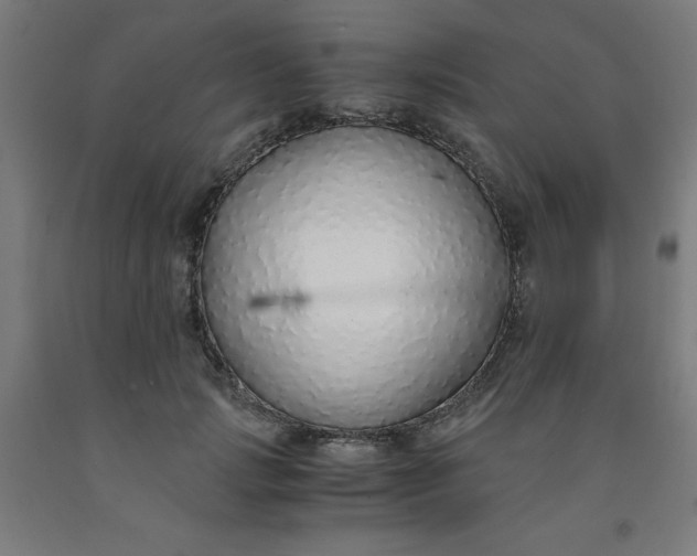 X0000091860749200709261254