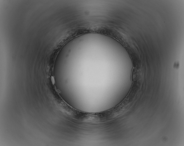 X0000091860750200709261254