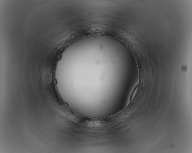 X0000091860751200709261254