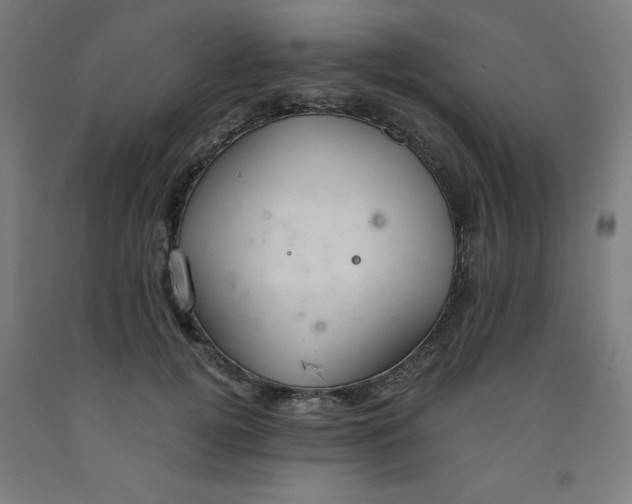 X0000091860752200709261254