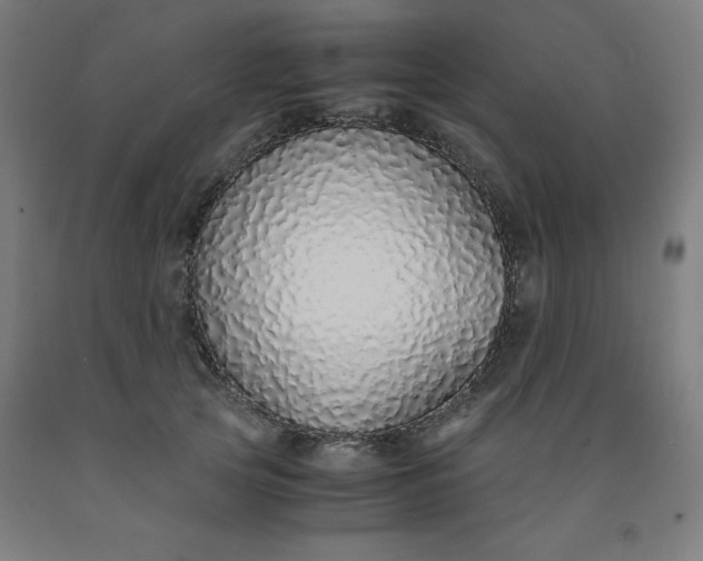 X0000091860753200709261254