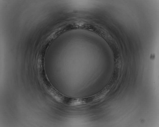 X0000091860754200709261254