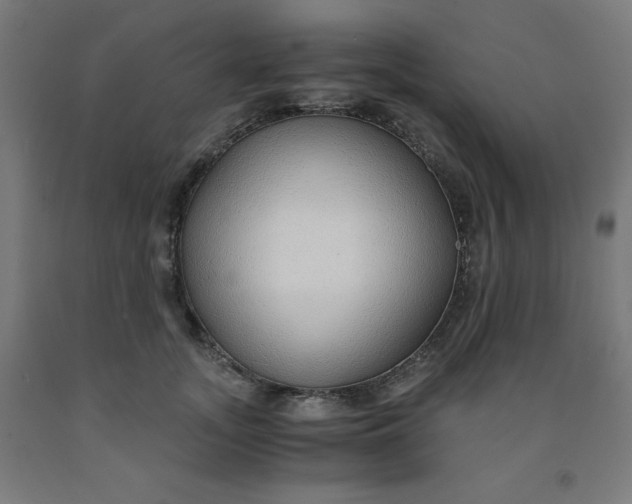 X0000091860755200709261254