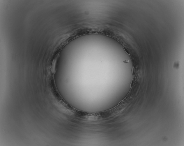 X0000091860756200709261254