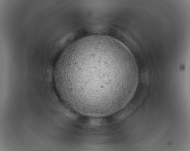 X0000091860757200709261254