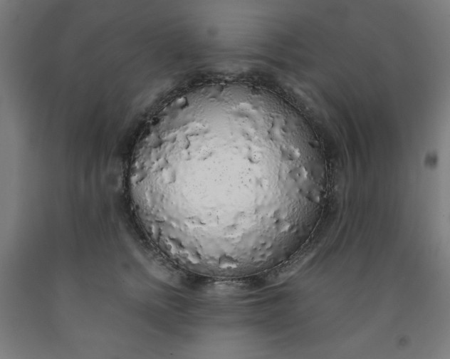 X0000091860758200709261254