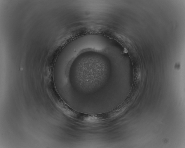 X0000091860759200709261254