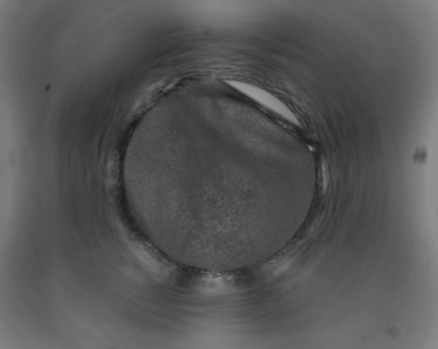 X0000091860760200709261254