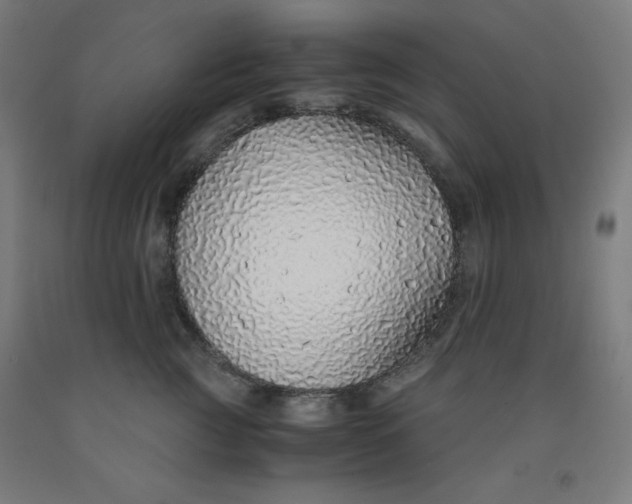 X0000091860761200709261254