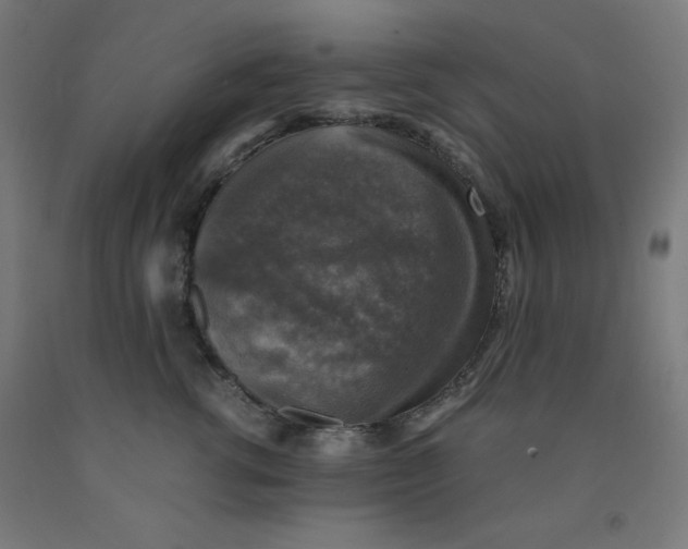 X0000091860762200709261254