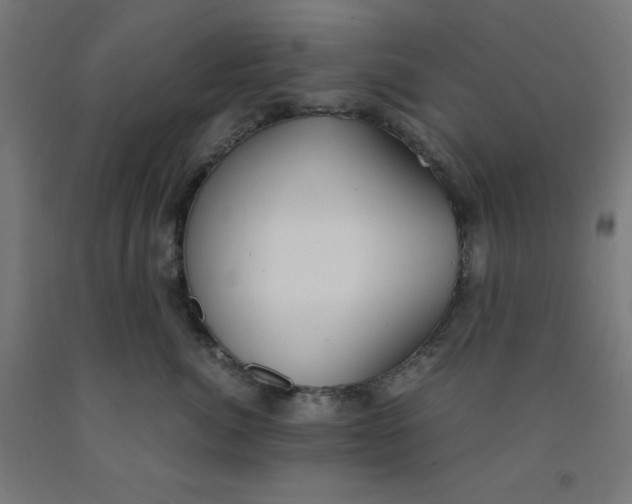 X0000091860764200709261254