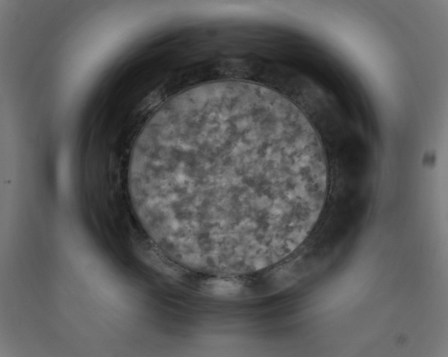 X0000091860765200709261254