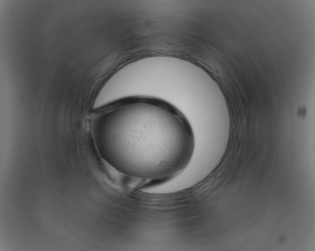 X0000091860766200709261254