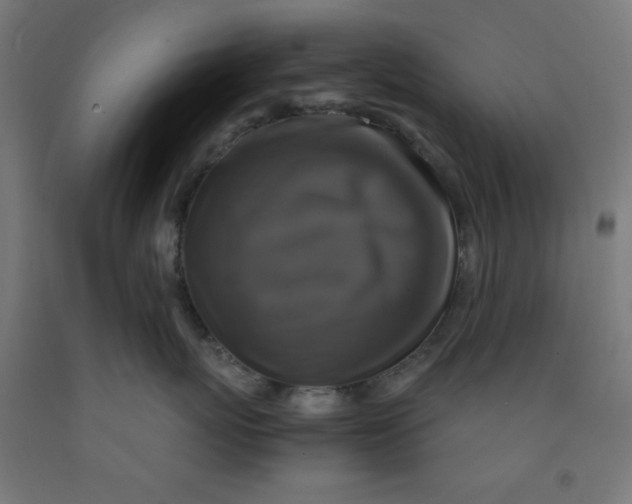 X0000091860767200709261254