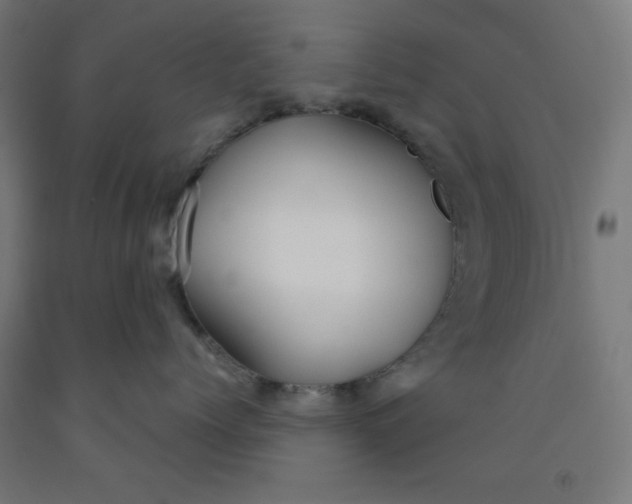 X0000091860768200709261254