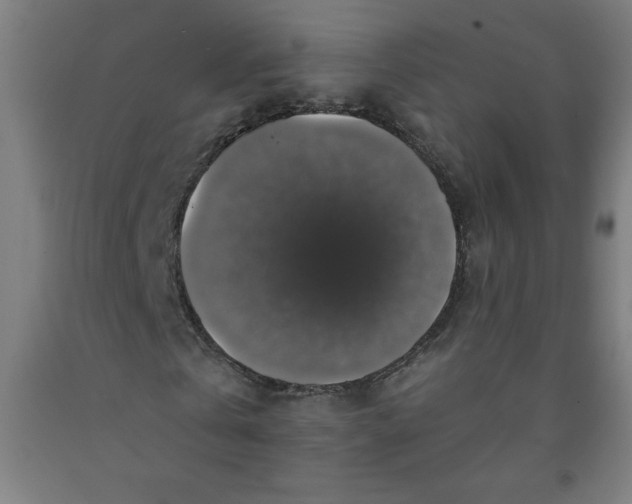 X0000091860769200709261254