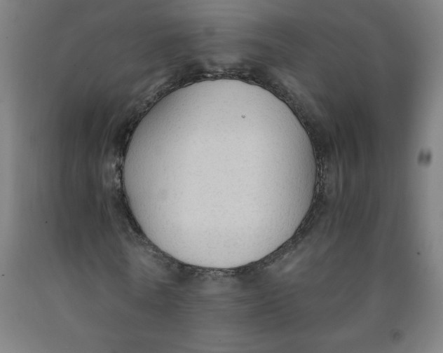 X0000091860770200709261254