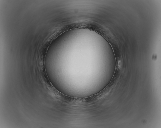 X0000091860771200709261254