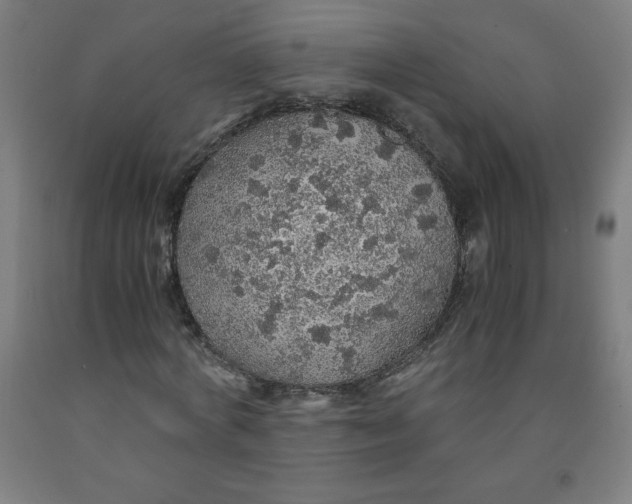 X0000091860772200709261254