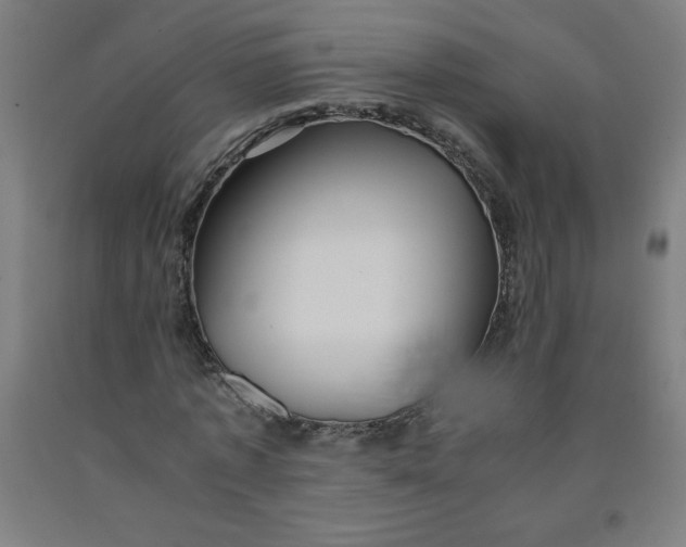 X0000091860773200709261254